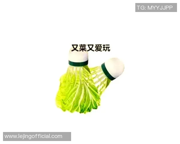 羽毛球新手必看：从零基础到实力提升的全面入门指南